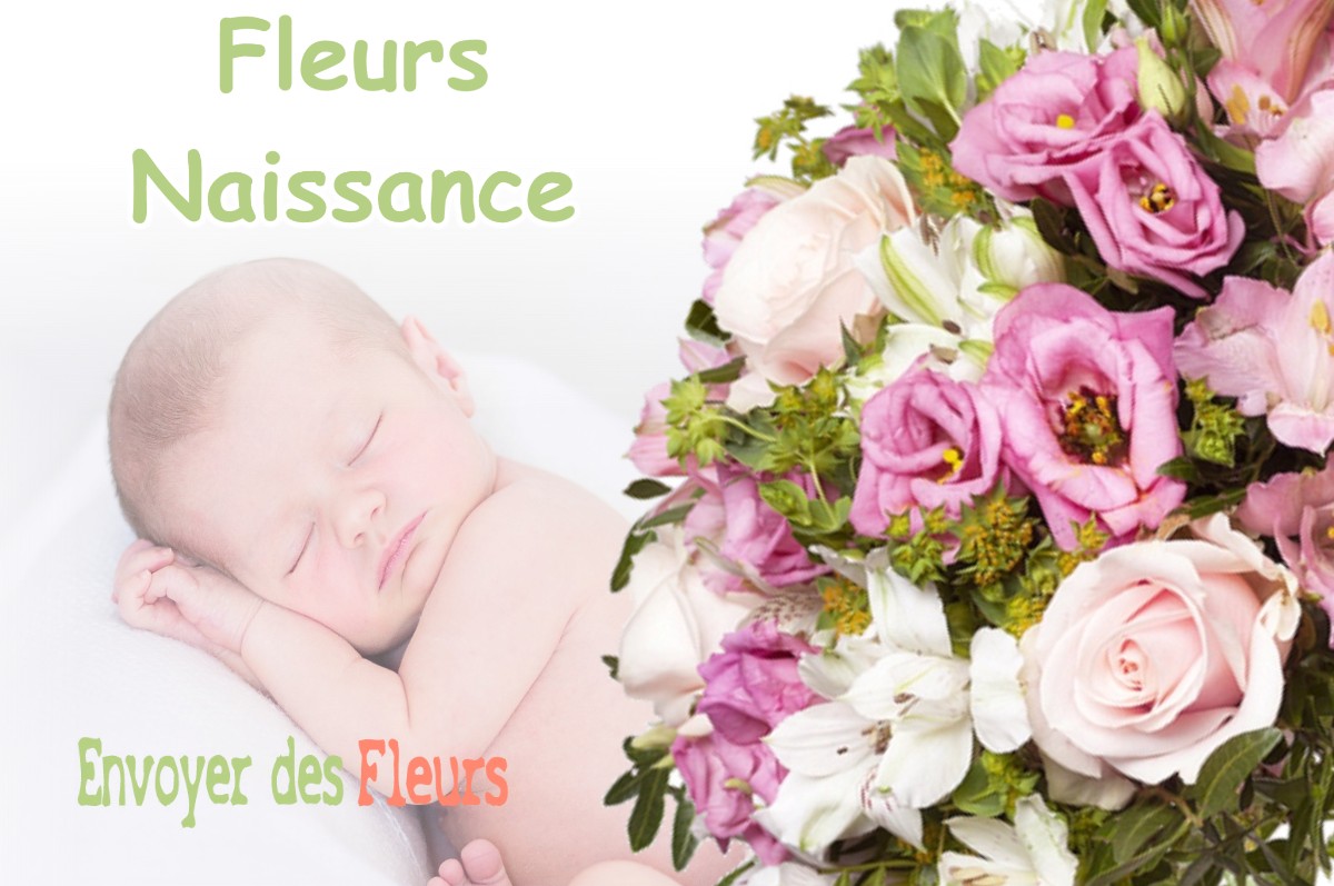 lIVRAISON FLEURS NAISSANCE à CLELLES